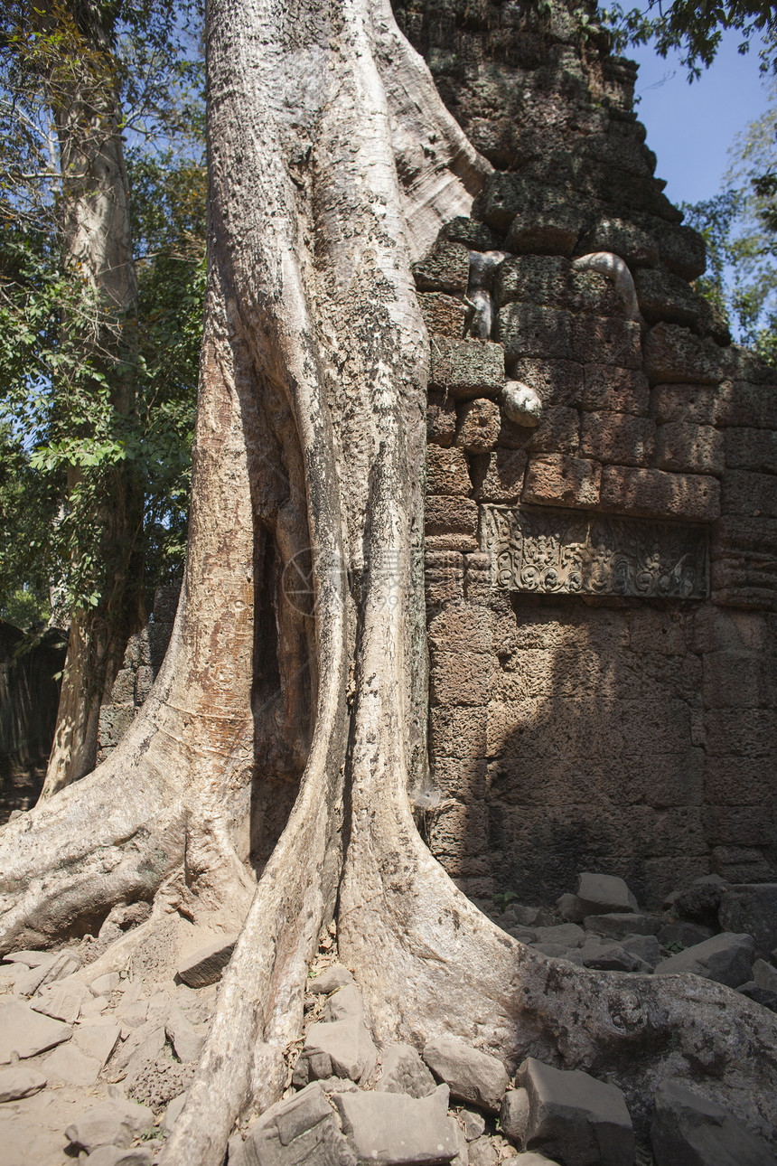 柬埔寨舞会木头石头旅游寺庙宗教古董纪念碑建筑荒野图片