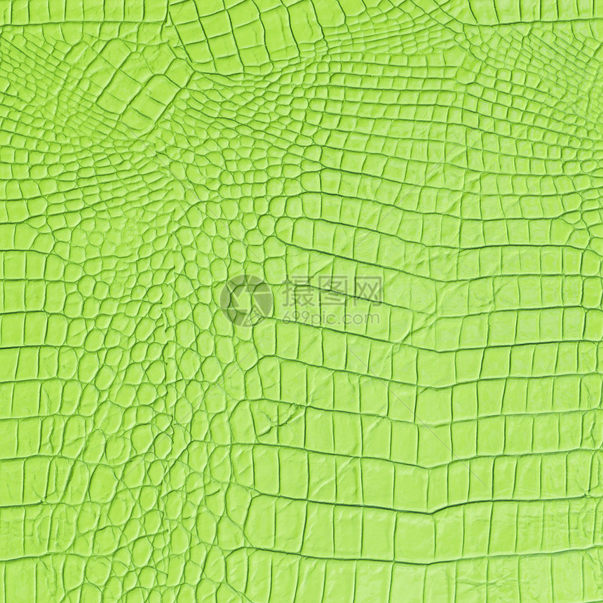 绿色皮革材料羊皮纸质量风格宏观艺术纺织品皮肤织物家具图片