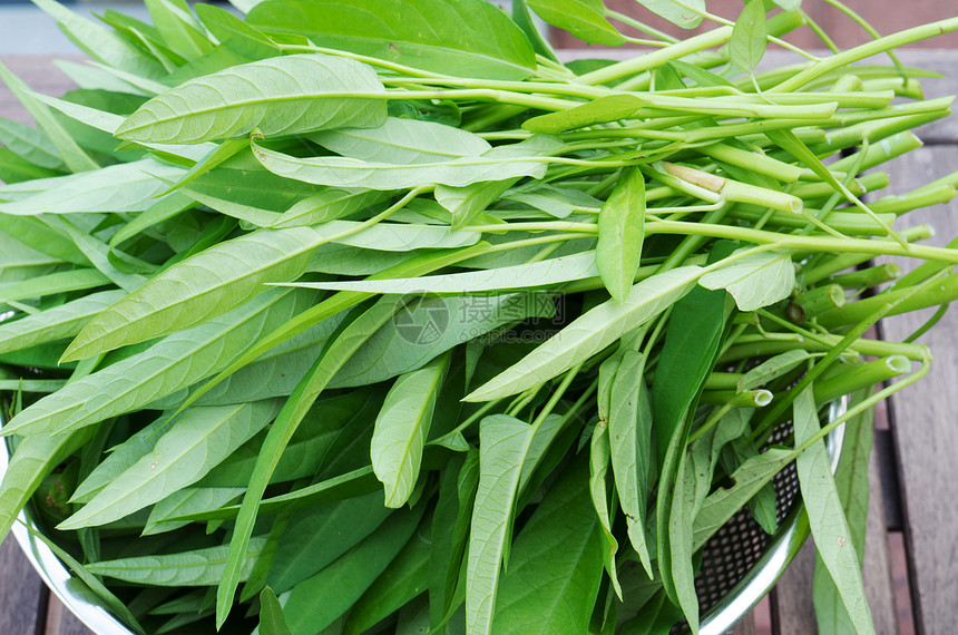 水菠菜水生动物收成花园烹饪白色蔬菜绿色沙拉园艺热带图片