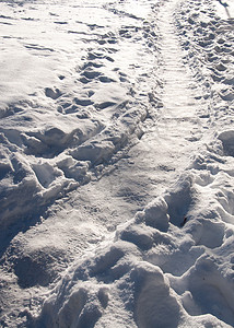 寒冬的阳光下雪之路图片