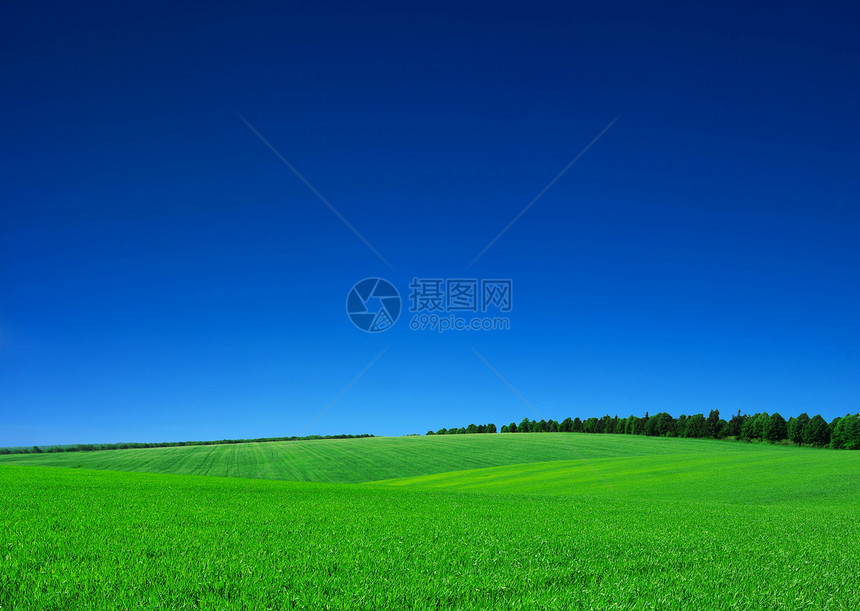 绿绿地太阳农村土地阳光植物农场季节蓝色场景天气图片