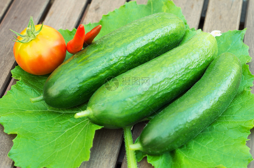 三个绿黄瓜养分收成红色辣椒食物叶子沙拉蔬菜白色绿色图片