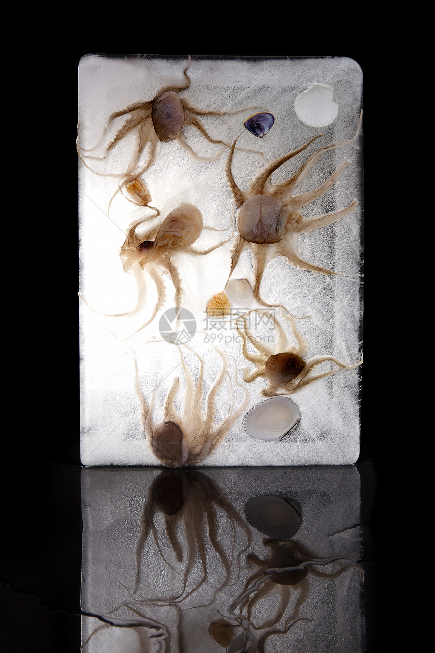 冰冻的海鲜章鱼餐厅美食黑色营养海洋烹饪触手贝壳背景图片