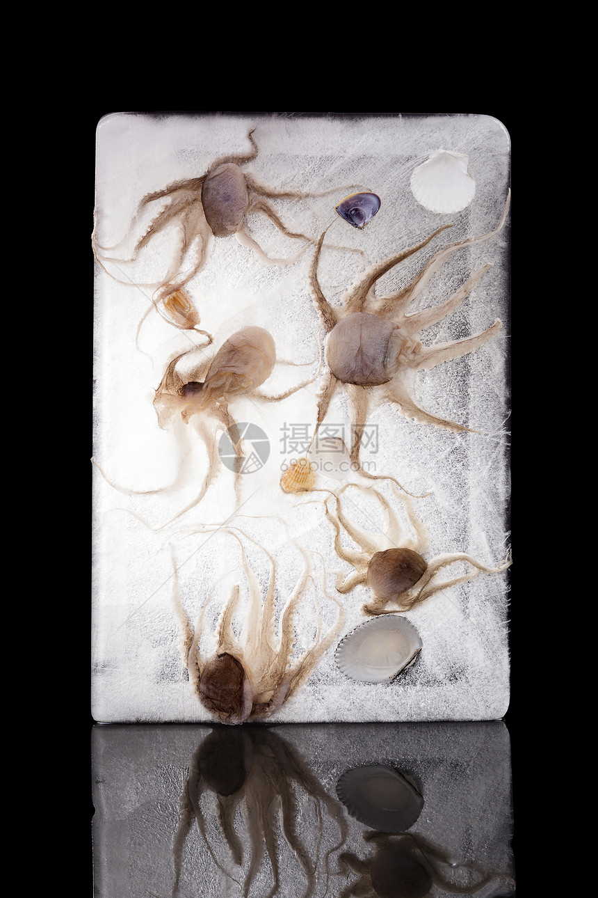 冰冻的海鲜美食触手营养海洋食物午餐烹饪餐厅章鱼背景图片
