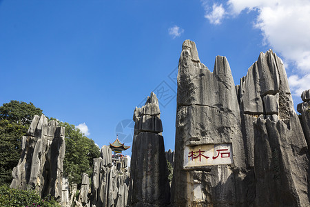 云南省石林国家公园地区钟乳石岩石遗产旅行森林旅游士林柱子天线背景图片