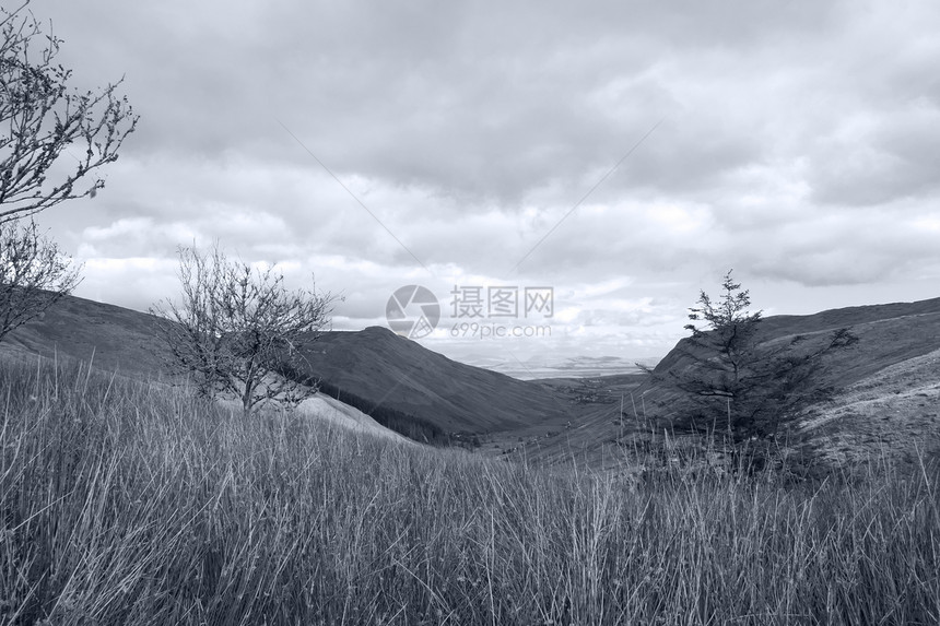 长长高高的野草和沼泽山芦苇国家爬坡天空山沟蓝色草地旅游树木农场图片