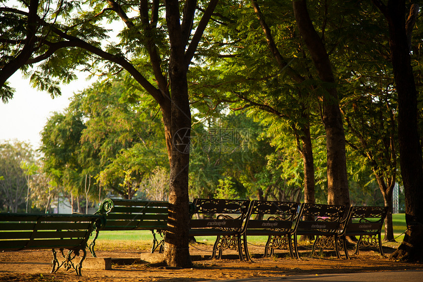 在公园的座椅上阳光人行道小路座位场景休息椅子叶子树木季节图片