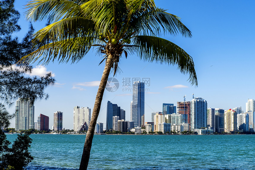 迈阿密市中心天线全景海岸线景点旅行反射景观观光目的地公寓热带图片