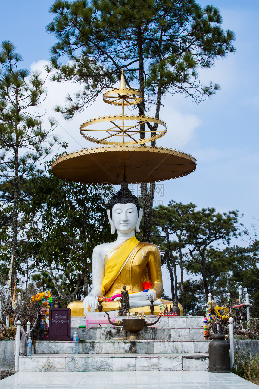 佛像雕像森林宗教崇拜佛教徒精神文化极乐雕塑智慧艺术图片