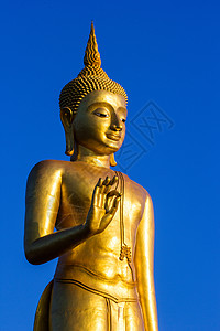 泰国金佛雕像站立高清图片