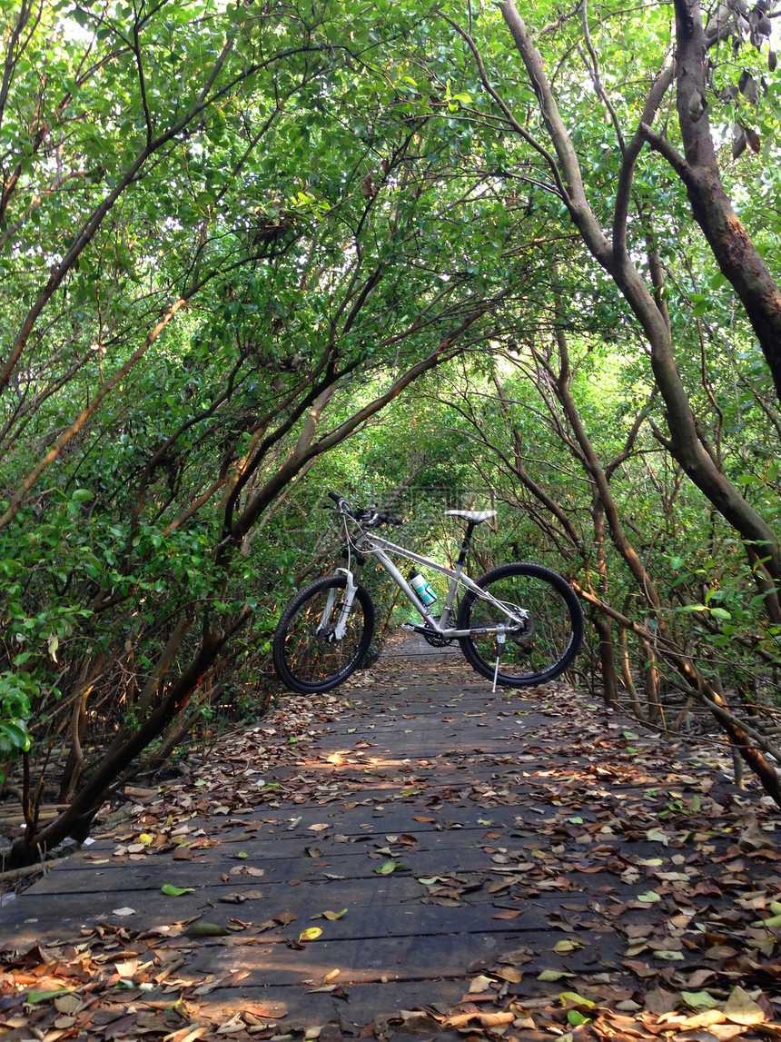 在森林的木路上骑自行车速度小路运动图片