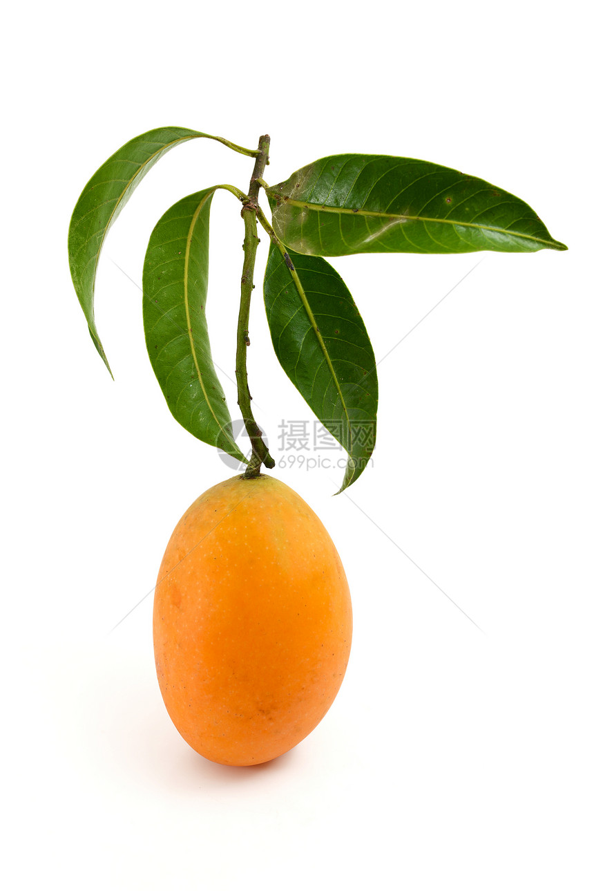 马里安普拉姆美食情调荣耀水果食物季节种植园植物橙子气候图片