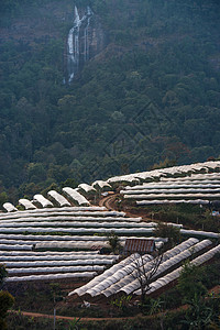 温室植物泰国清迈旅游农村星星起跑线热带环境高地季节夜景农业背景图片