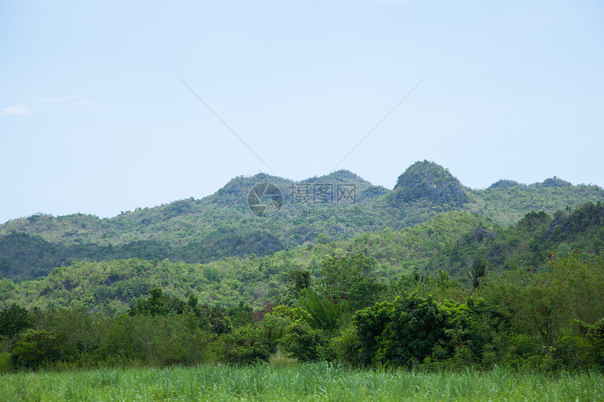 山区和森林爬坡公园草地植物土地叶子荒野旅行远足天空图片