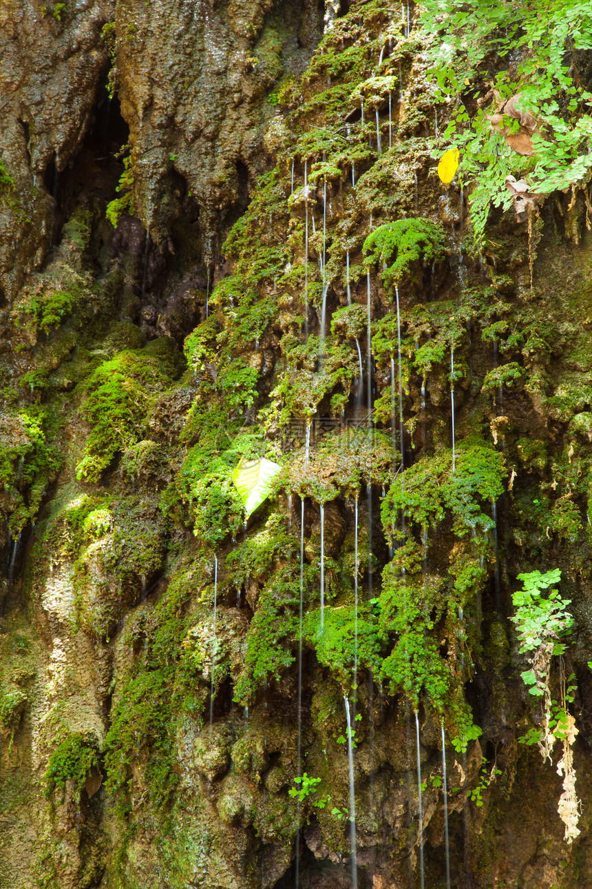 瀑布流过悬崖木头公园溪流旅游叶子林地自然荒野苔藓流动图片