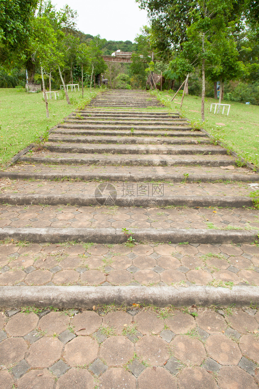 爬上梯子人行道绿色植物石头公园乡村爬坡土壤小路途径图片