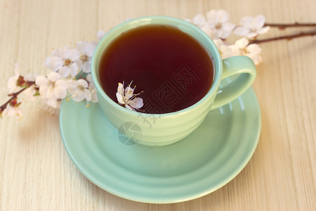 茶杯加开花樱桃树枝饮料茉莉花调色叶子玻璃植物花朵花瓣花园文化背景图片