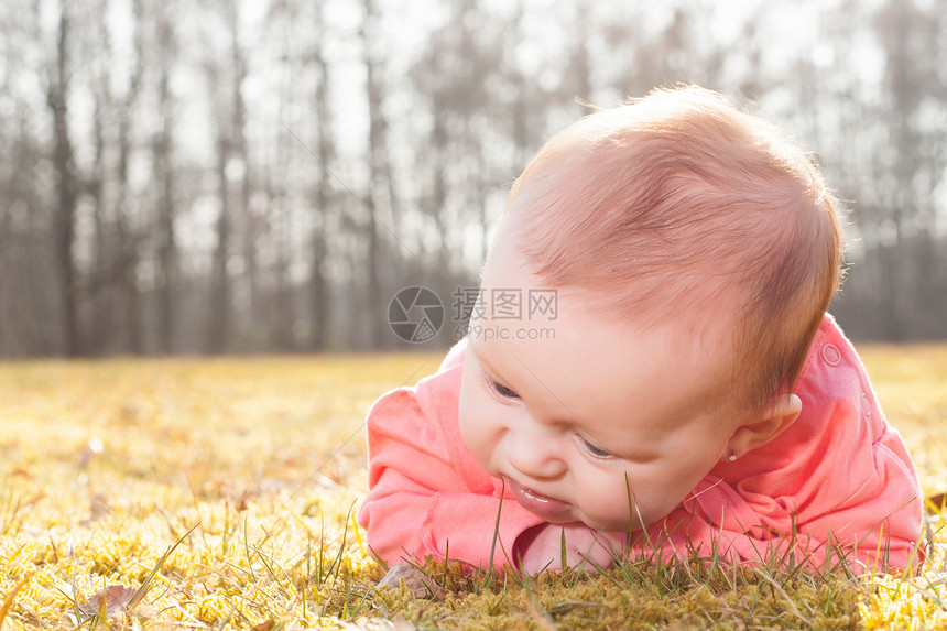 寻找青草叶的婴儿图片