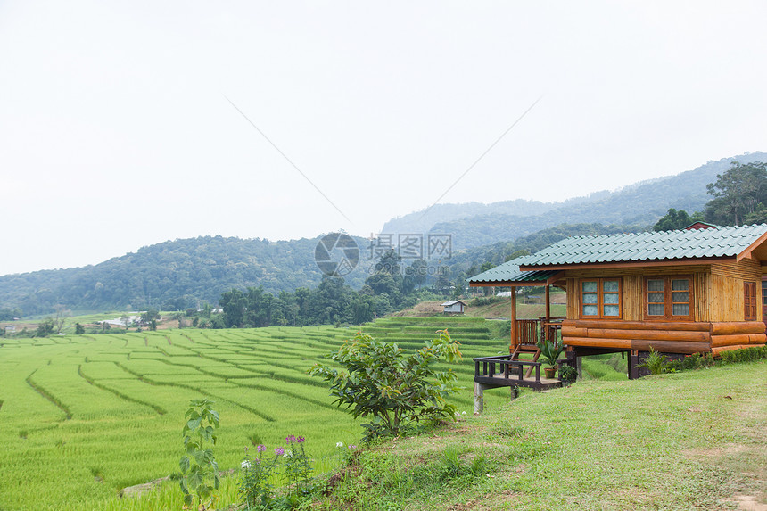 邻近的农户稻田土壤旅行爬坡村庄地球农村土地农场生长环境图片