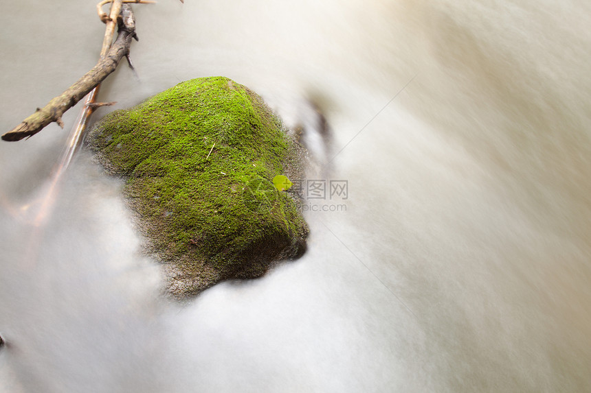 溪流中的水瀑布运动土地森林岩石苔藓叶子林地植物环境图片