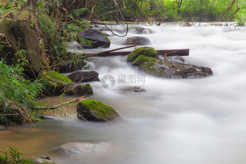 溪流中的水花园土地阳光森林瀑布叶子植物石头液体苔藓图片