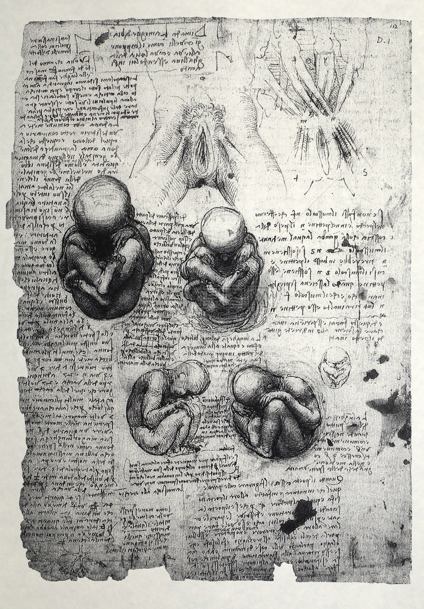 解解剖学生理男性教育科学家男人保健绘画插图科学身体图片