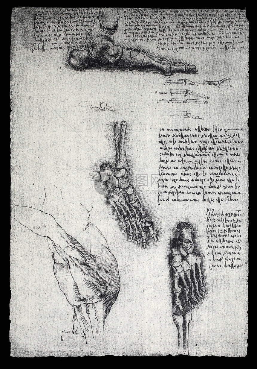 解解剖学科学家名声古董生理绘画生物学教育男人科学卫生图片