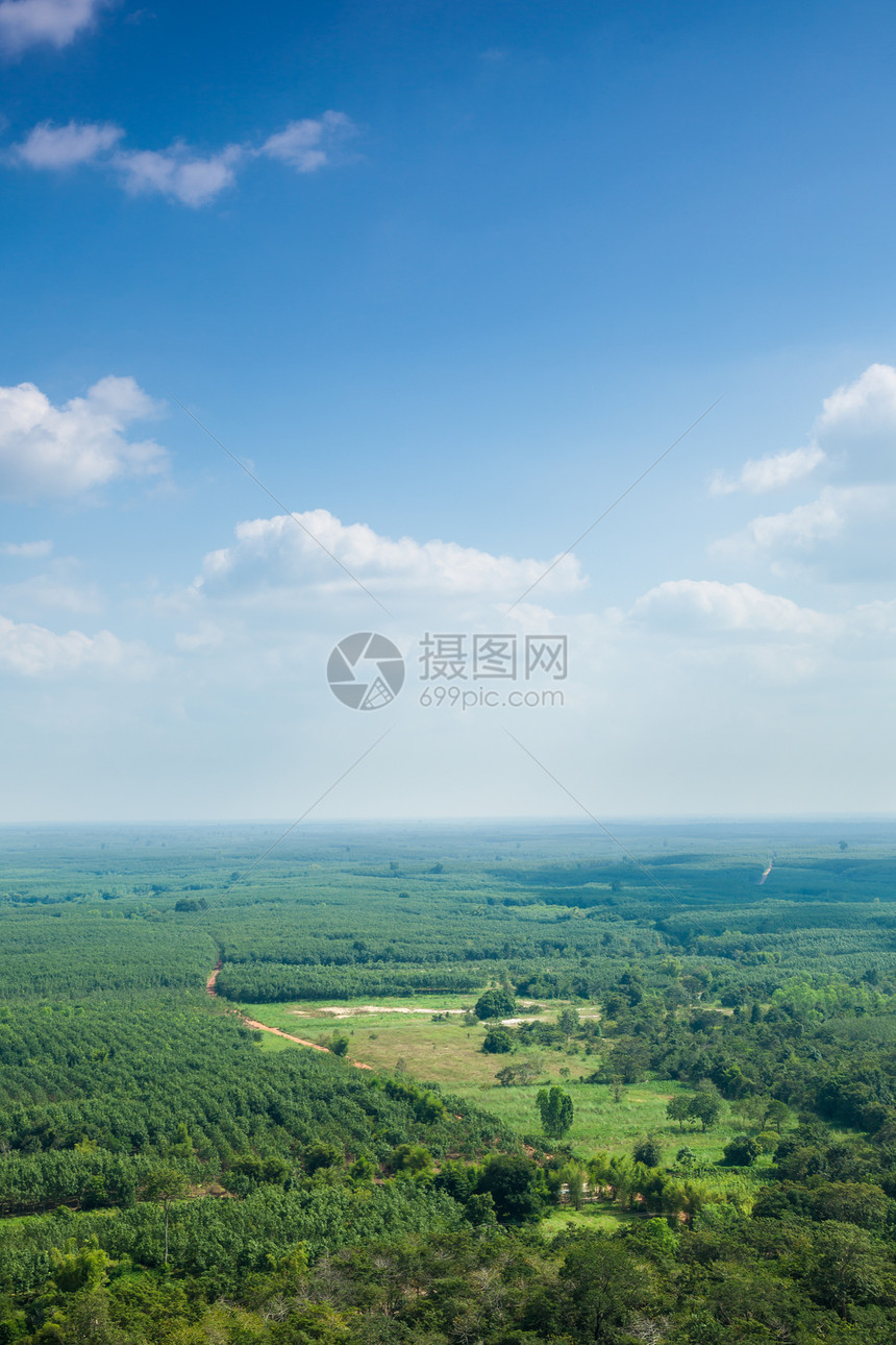 森林和农业地区晴天农村风景生长旅行天气天空爬坡草地农田图片