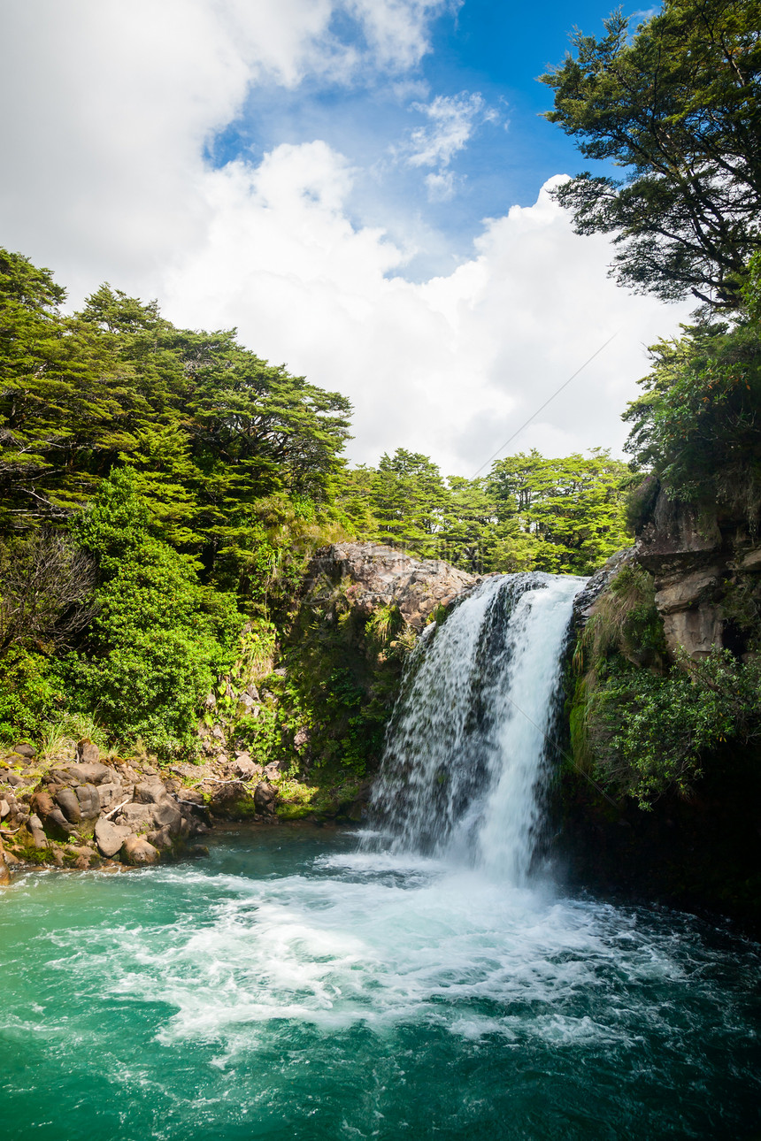 新西兰的热带丛林美丽旅行荒野风景瀑布溪流树木公园图片