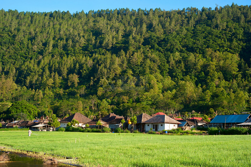 印度尼西亚巴厘岛村(Bali)图片