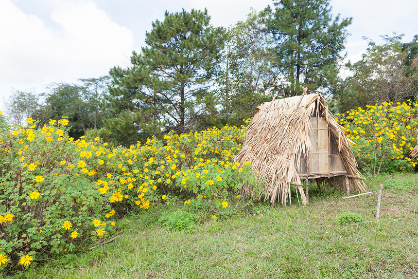 草坪上的小棚旅游风景建筑季节场景村庄小屋花园环境天空图片