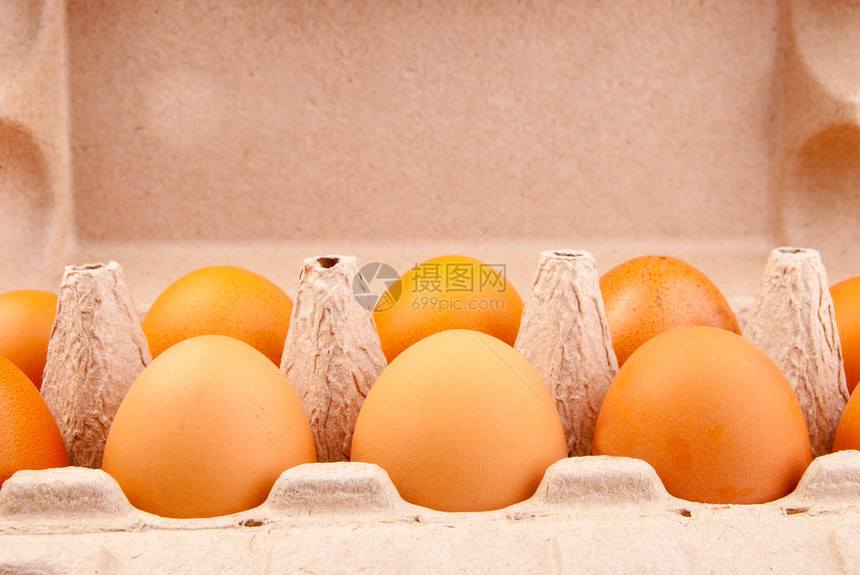 蛋盒子家禽早餐纸板母鸡团体工作室蛋壳动物烹饪图片