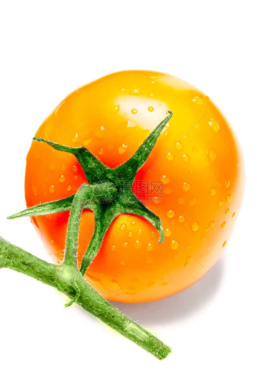 白色背景上的红番茄饮食素食食物水果蔬菜藤蔓红色工作室宏观图片