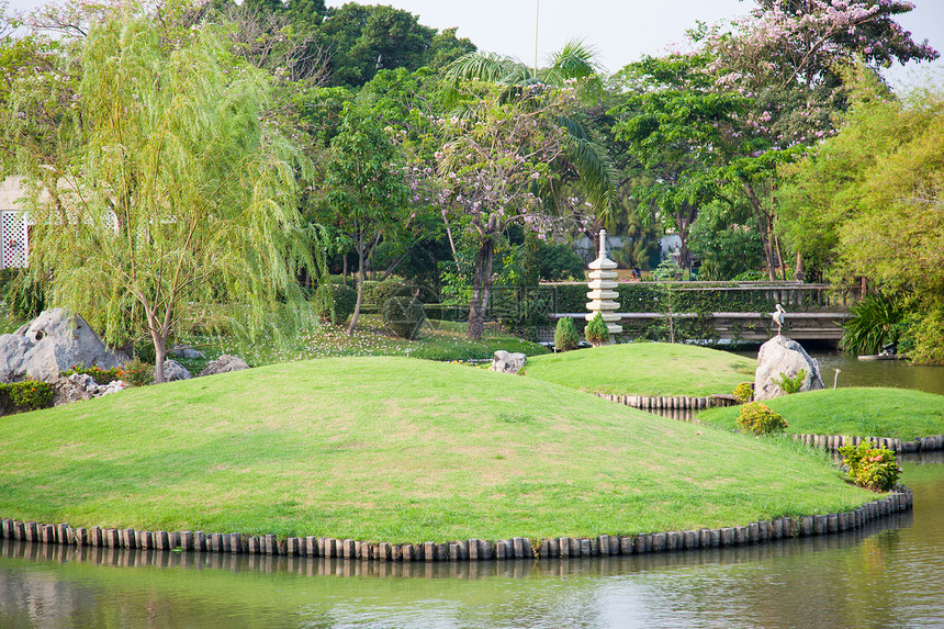 草坪设置在花园里季节环境石头池塘公园宏观草地溪流衬套植物群图片