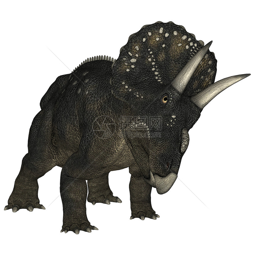 恐龙糖尿病绿色侏罗纪博物馆野生动物牛角捕食者古生物学插图白色生物图片