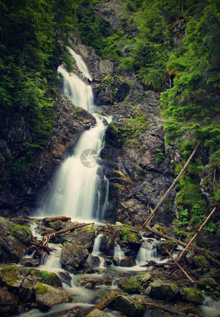 瀑布水景天堂叶子风景旅行森林假期岩石植物溪流图片