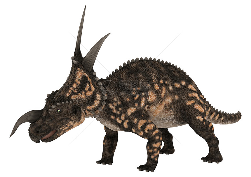 恐龙Eniosaur草食性生物广度怪物皮肤白色插图古生物学巨龙时代图片