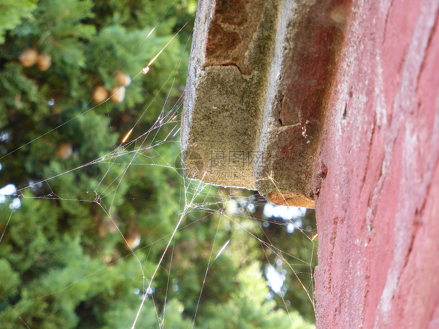 旧墙和阳光上的蜘蛛网图片