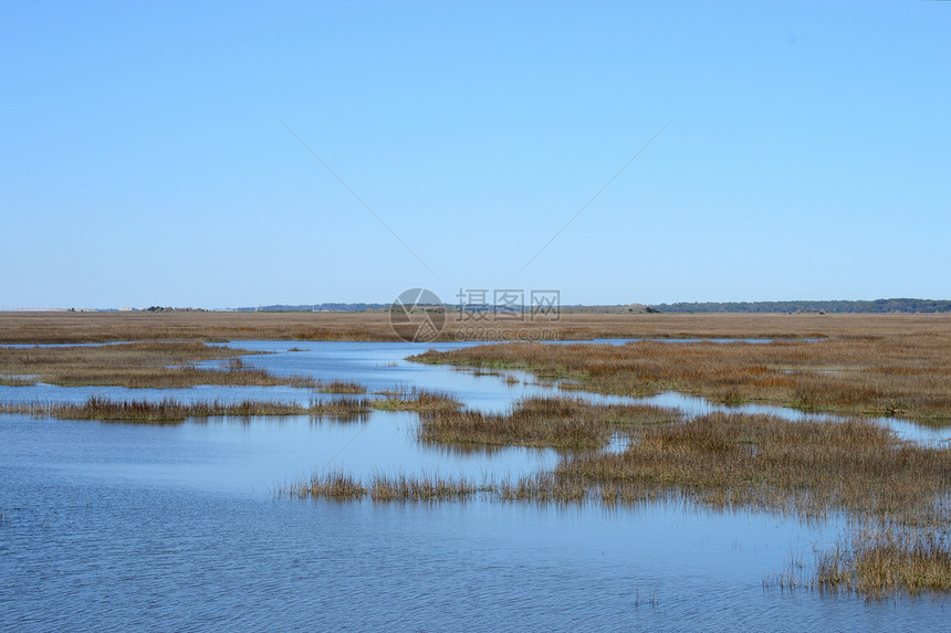 南部沿海岛屿附近的沿海湿地(南海岸岛附近)图片