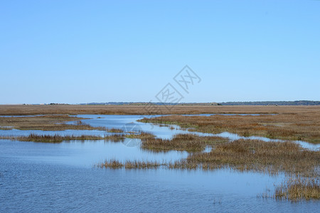 南部沿海岛屿附近的沿海湿地(南海岸岛附近)高清图片