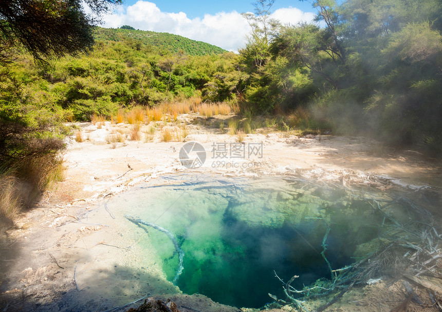 新西兰Tokaanu热温池热带蒸汽矿物蓝色公园吸引力丛林温泉沸腾地热图片