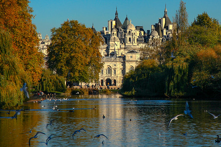 伦敦市风景风光都市外观景观目的地水平旅游飞行鸟类建筑背景图片