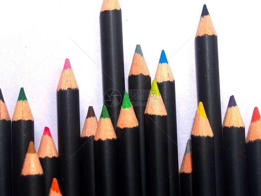 彩色铅笔活力大学棕色白色调色板红色乐器教育蜡笔学校图片