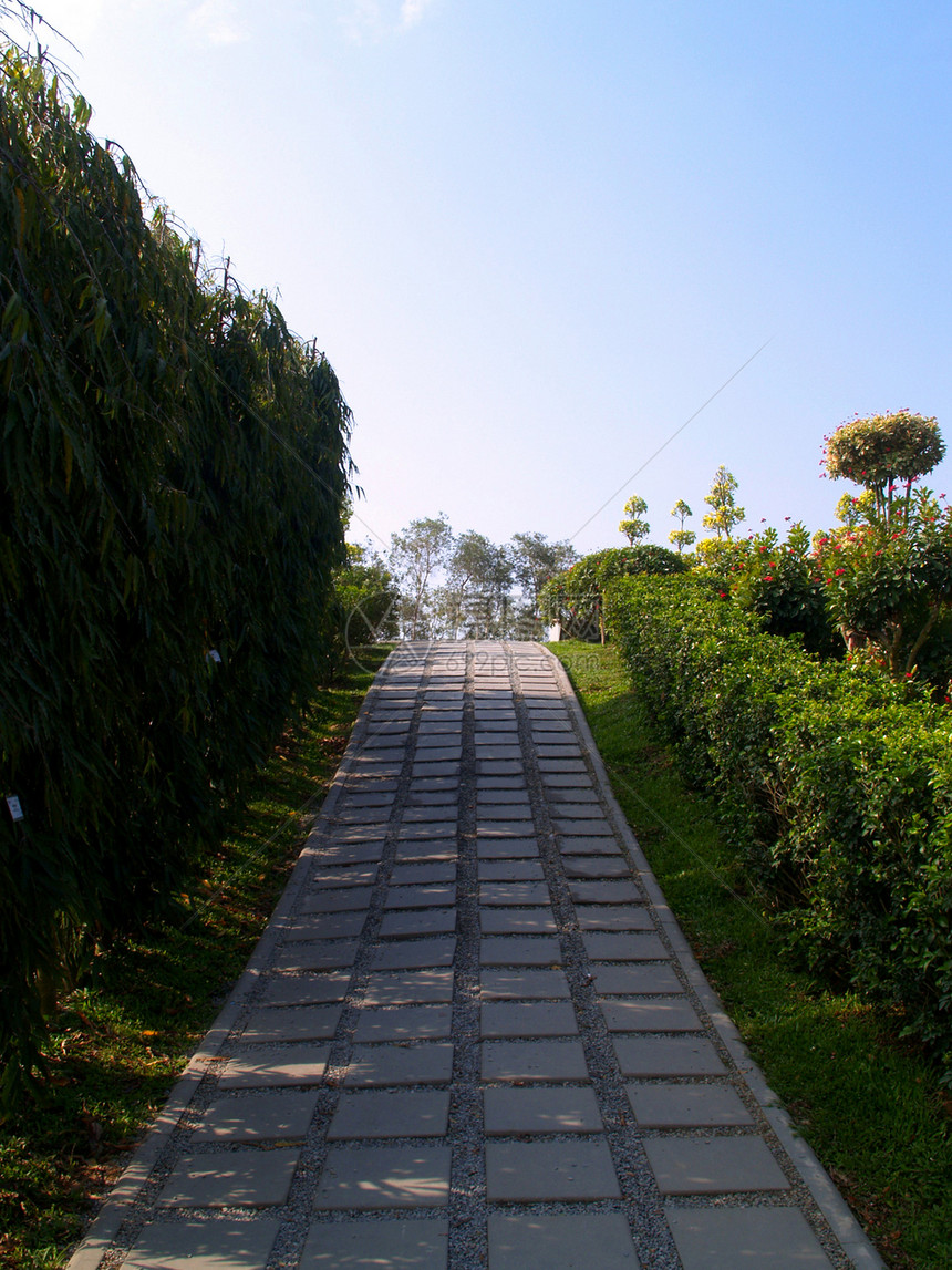 皇家植物展销会历史纪念碑贵族建筑文化反射建筑学植物群寺庙奢华图片