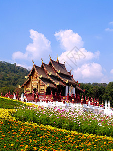 皇家植物展销会旅行建筑学池塘反射奢华寺庙热带贵族建筑地标背景图片