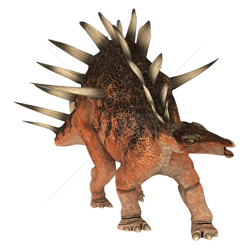恐龙天文词库蜥蜴插图怪物博物馆白色尖刺生物动物时代侏罗纪图片