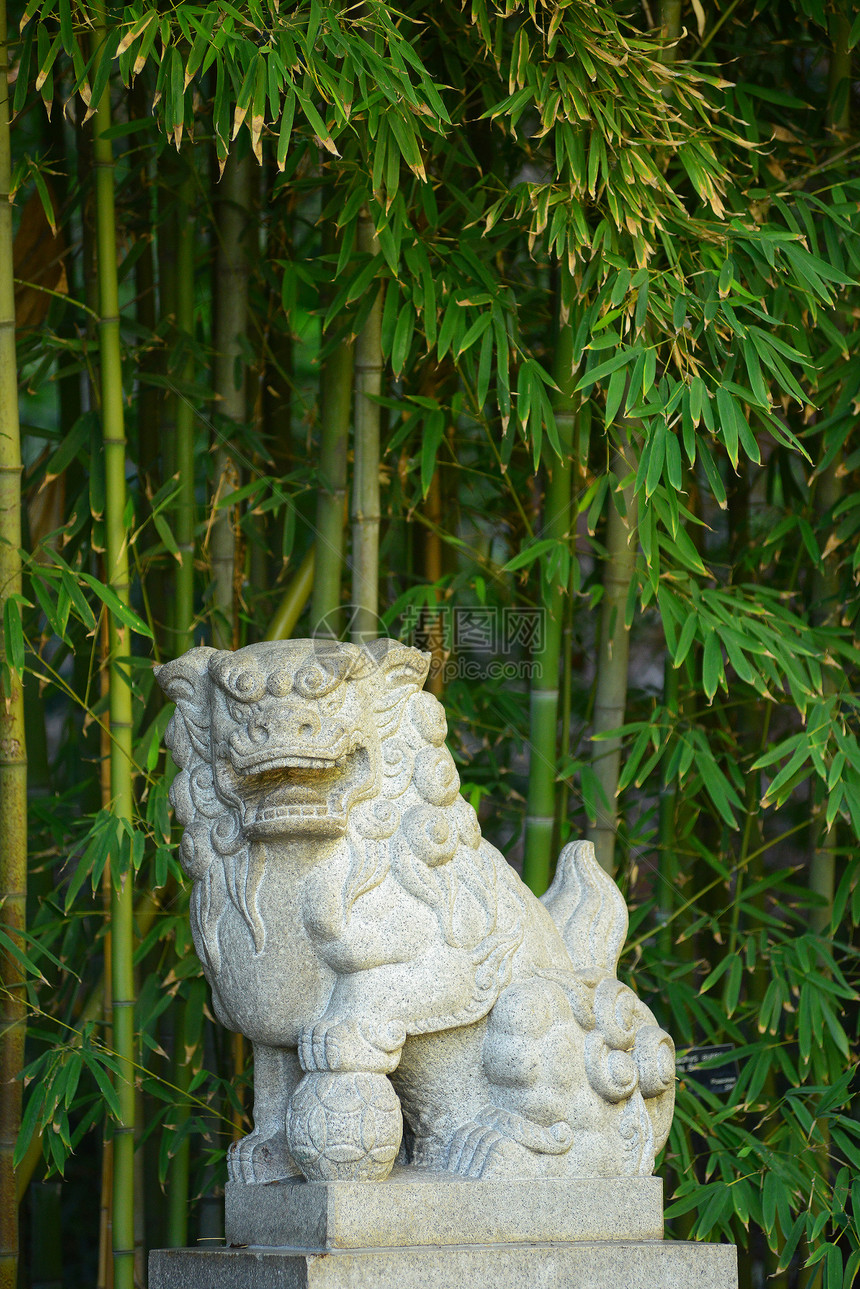 中国石狮狮子艺术文化白色花园植物竹子图片