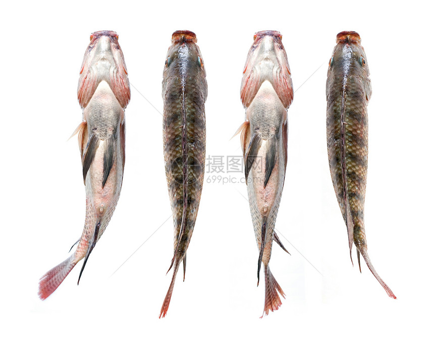 捕食鱼市场钓鱼红鱼眼睛海洋营养烹饪贩子海鲜鱼片图片