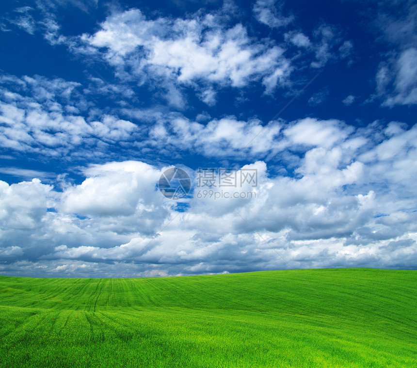 字段阳光绿色多云远景天气风景地平线植物全景天空图片