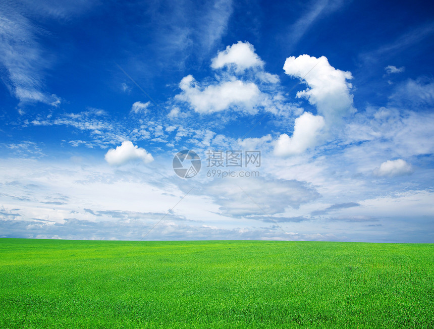 字段绿色阳光场地植物风景多云远景地平线农场草地图片